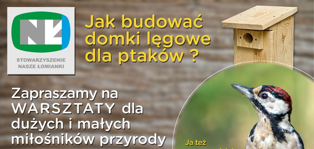 Budki L Gowe Wycinek Stowarzyszenie Nasze Omianki